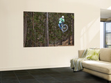 Mountain Biker on Malice in Plunderland Trail  Spencer Mountain  Whitefish  Montana  USA