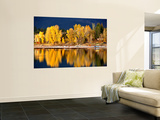 Autumn Colours on Shore of Lake Payette