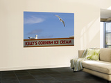 Ice-Cream Van and Seagulls