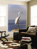 Great White Heron
