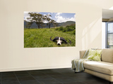 Cape Buffalo Skull and Hills of Ngorongoro Crater