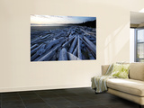 Driftwood on Long Beach