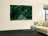 Oak Alley Plantation in Mississippi River Valley