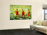Buddhist Monks Walk Through a Lily Pond in the Village of Bavel