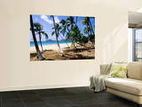 Palm Trees Facing Beach