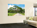 Country Road