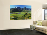 Taro Fields of Hanalei Valley with Mountain Backdrop