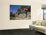 Mountain Bikers