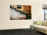 Adobe Stairs with Geraniums