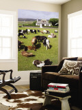 Shetland Ponies at Gott Farm