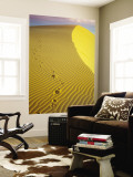 Wind Patterns and Footprints on White Sand Dunes