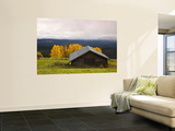 Traditional Wooden Barn  Yellow Aspens and Fjells with First Snow in Autumn