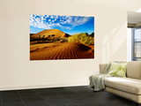 Sand Dunes in Namib Desert Park