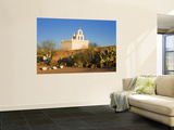 Mission San Xavier Del Bac