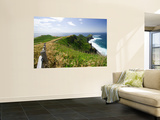 Kamui Peninsula Path and Coastline