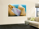 Fortune Cookie