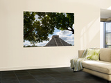 El Castillo  Pyramid of Kukulkan