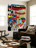 Spider-Woman 20 Cover: Spider Woman and Spider-Man Fighting