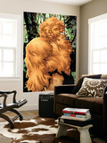Alpha Flight 7 Cover: Sasquatch Fighting