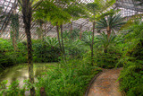 Garfield Park Conservatory Pond And Path Chicago