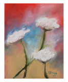 Queen Anne Lace II