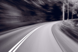 Forest Road Trip BW