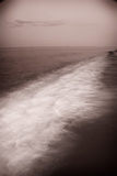 Wave Form