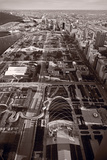Chicago's Front Yard BW