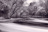 DuPage River Forest BW