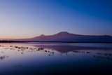 Kilimanjaro II