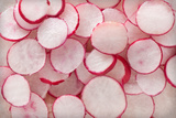 Fresh Radishes