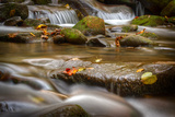 Roaring Fork Stream Great Smoky Mountains