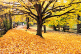 Halloween Outdoor Scenic