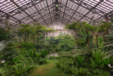 Garfield Park Conservatory Main Pond
