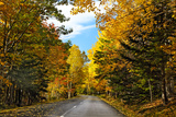 Autumn Scenic Drive  Acadia  Maine