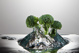 Broccoli FreshSplash
