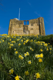 Guildford Spring