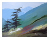 Cascade Foothills III