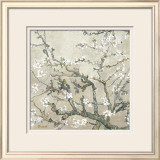 Almond Branches in Bloom  San Remy  c1890 (tan)