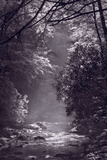 Stream Light BW