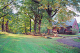 Country Road and Farmhouse