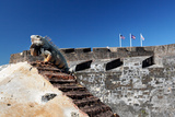 Iguana Basking  San Cristobal Fort  San Juan  PR