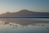 Kilimanjaro