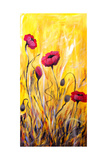 For The Love Of Poppies