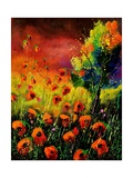 Red Poppies 451130