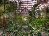 Garfield Park Conservatory Reflecting Pool
