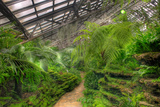 Garfield Park Conservatory Path Chicago