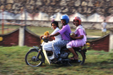 Family Scooter