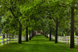 Allee Way