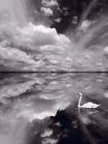 Swan Lake Explorations BW